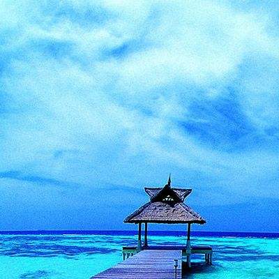 助赢软件app手机app下载截图