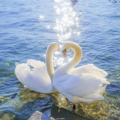 爱游戏·体育APP