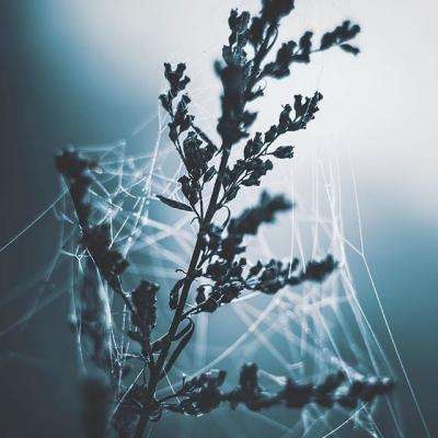 江南官方全站app下载截图