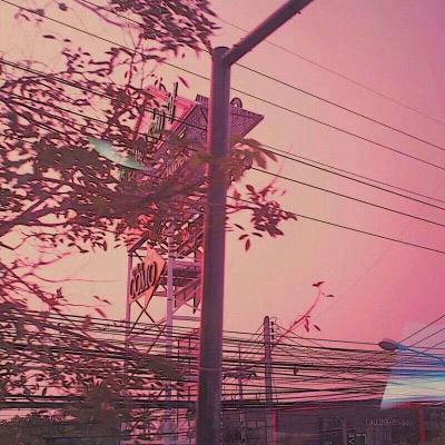 华体会登录手机版手机app下载