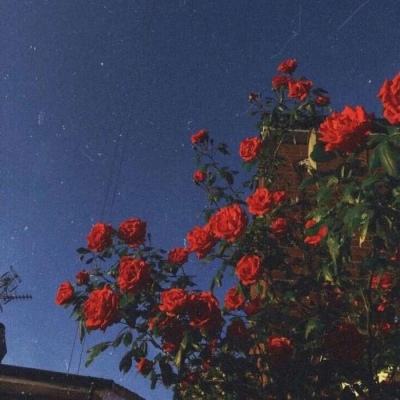 8188www威尼斯手机app下载