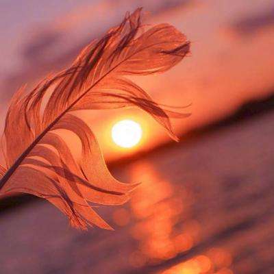 新世纪棋牌下载手机版