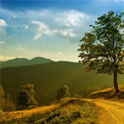 江南官方全站app下载截图